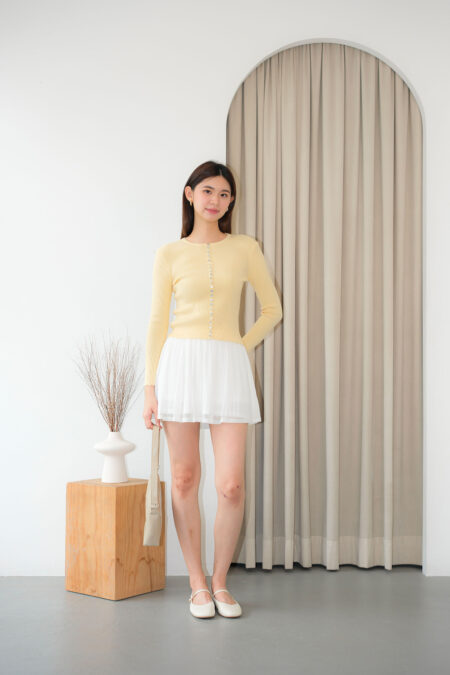 Mesh Small Pleated Skirt